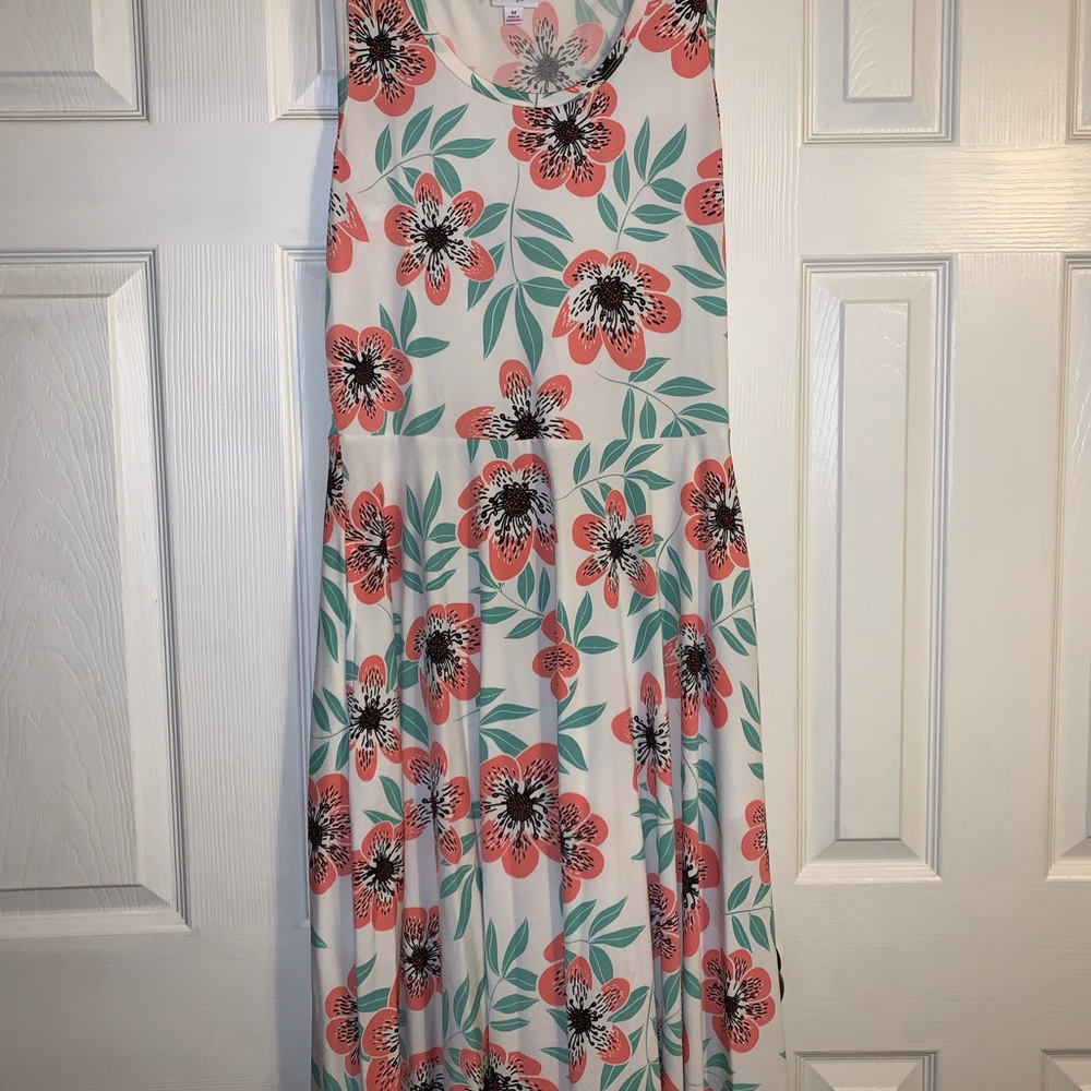 Lularoe Nicki dress